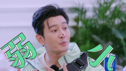 吃瓜闲人夏小叨娱乐,吃瓜闲人带你领略娱乐圈风云变幻